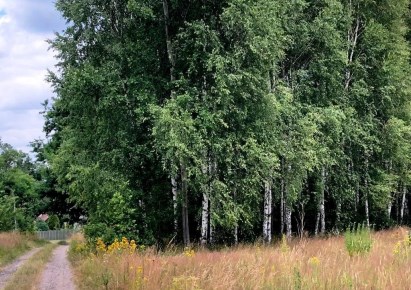 działka na sprzedaż - Ruda Maleniecka, Maleniec