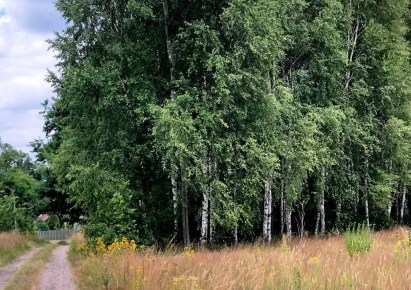 działka na sprzedaż - Ruda Maleniecka, Machory