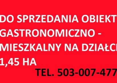 lokal na sprzedaż - Wola Krzysztoporska, Mzurki, Budków