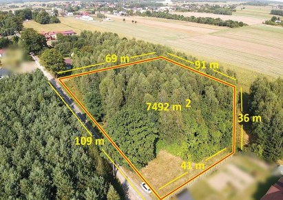 parcel for sale - Mniszków