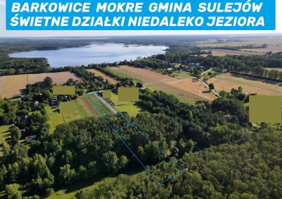 działka na sprzedaż - Sulejów (gw), Barkowice Mokre