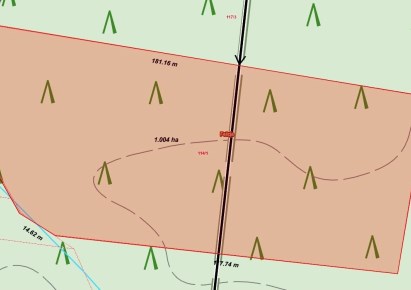 parcel for sale - Łęki Szlacheckie, Felicja