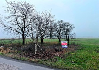 działka na sprzedaż - Sulejów (gw), Uszczyn