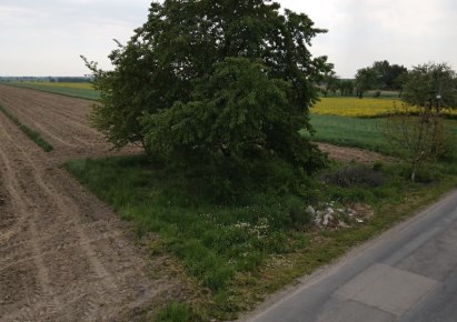 działka na sprzedaż - Sulejów (gw), Uszczyn