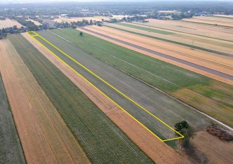 działka na sprzedaż - Sulejów (gw), Uszczyn