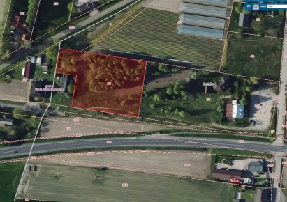 działka na sprzedaż - Wola Krzysztoporska, Mzurki, Budków