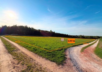 parcel for sale - Aleksandrów, Dębowa Góra-Kolonia