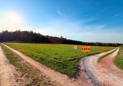 parcel for sale - Aleksandrów, Dębowa Góra-Kolonia